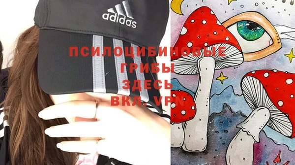 твердый Белоозёрский