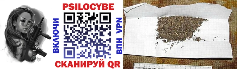 Псилоцибиновые грибы мицелий  Чудово 